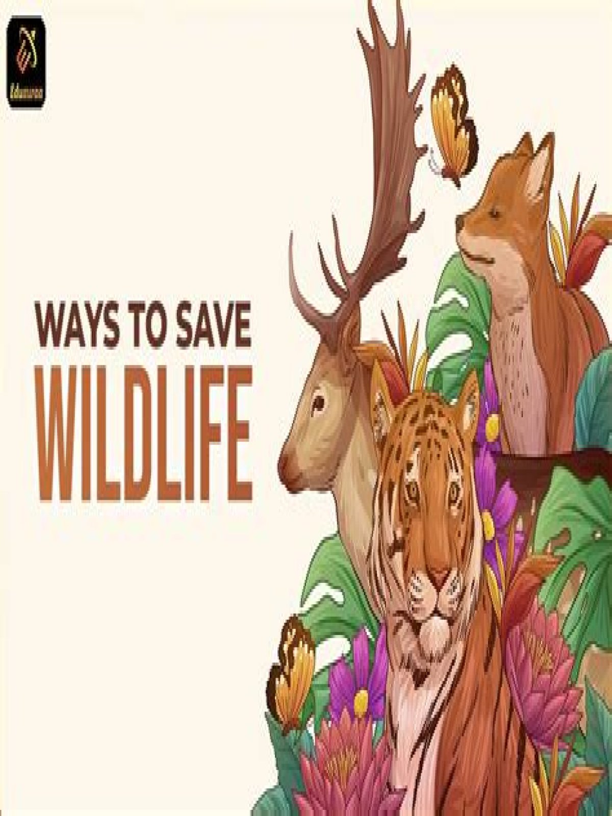 A Journey Of Wildlife And Conservation
