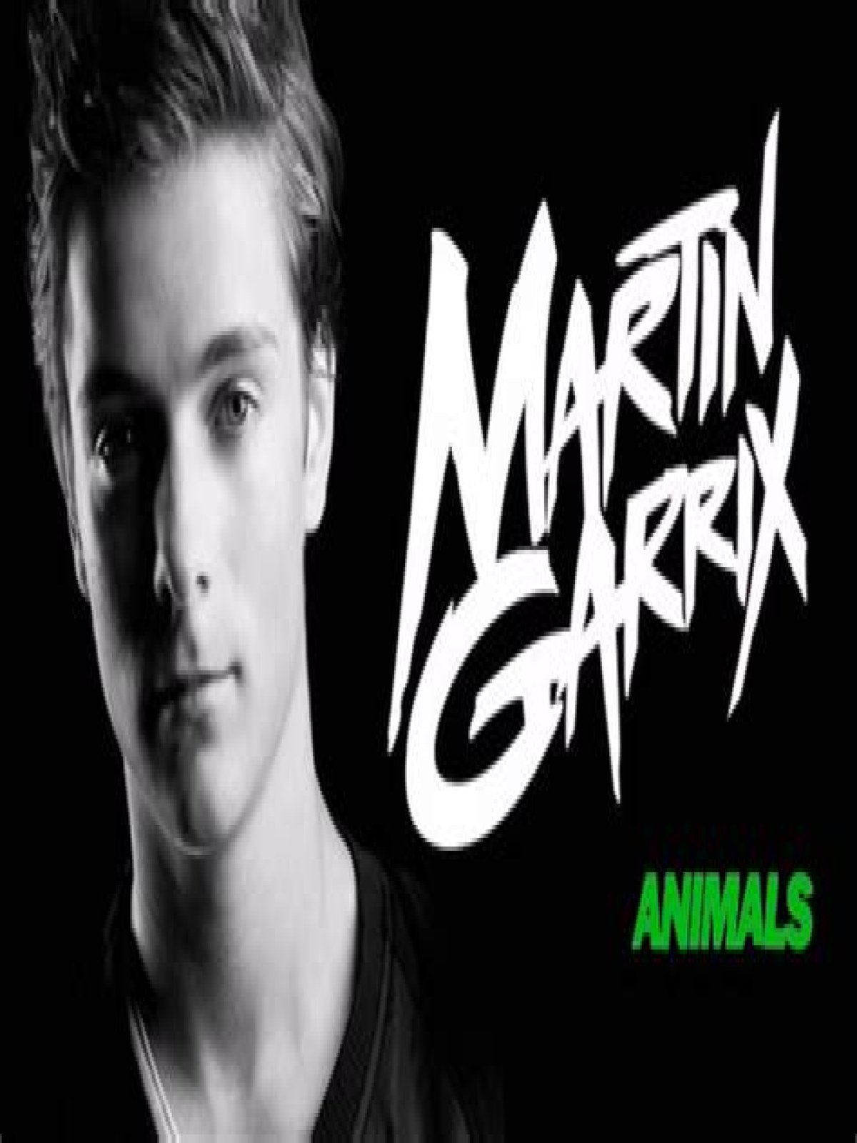 Unveiling Martin Garrix's Age When "Animals" Roared To Fame