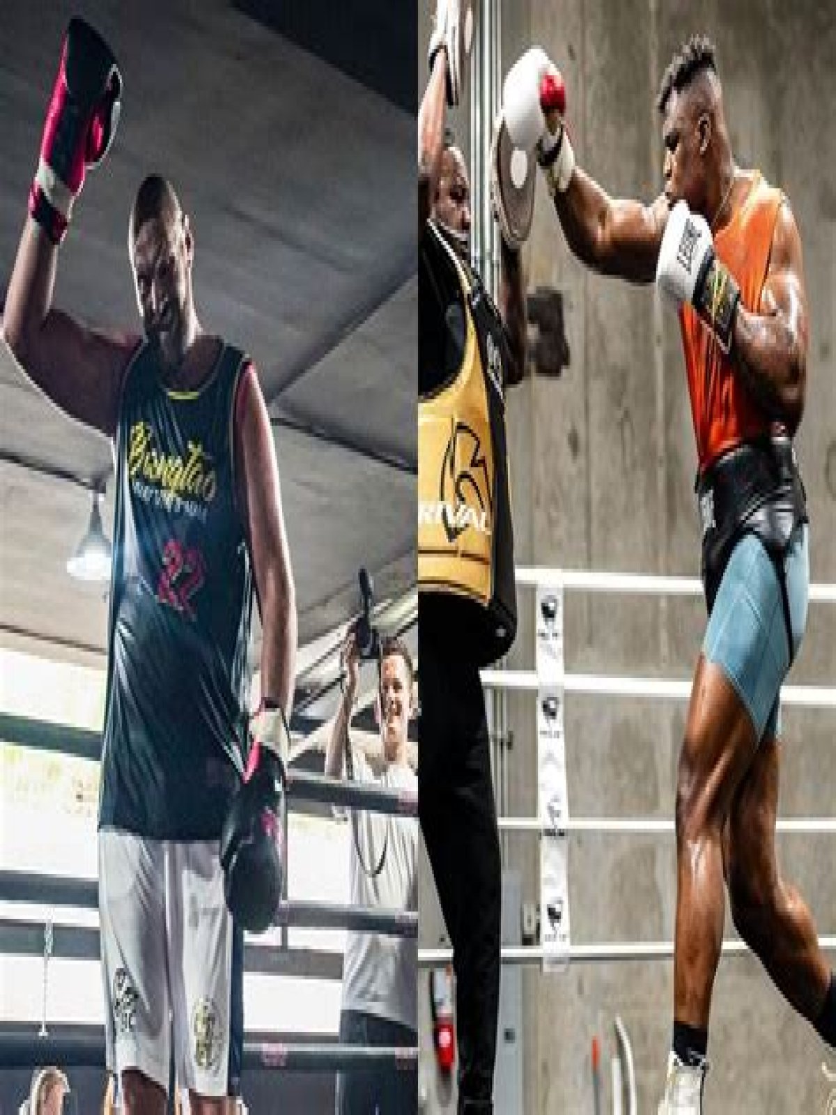 Unveiling Ngannou's Towering Height: Discoveries And Insights