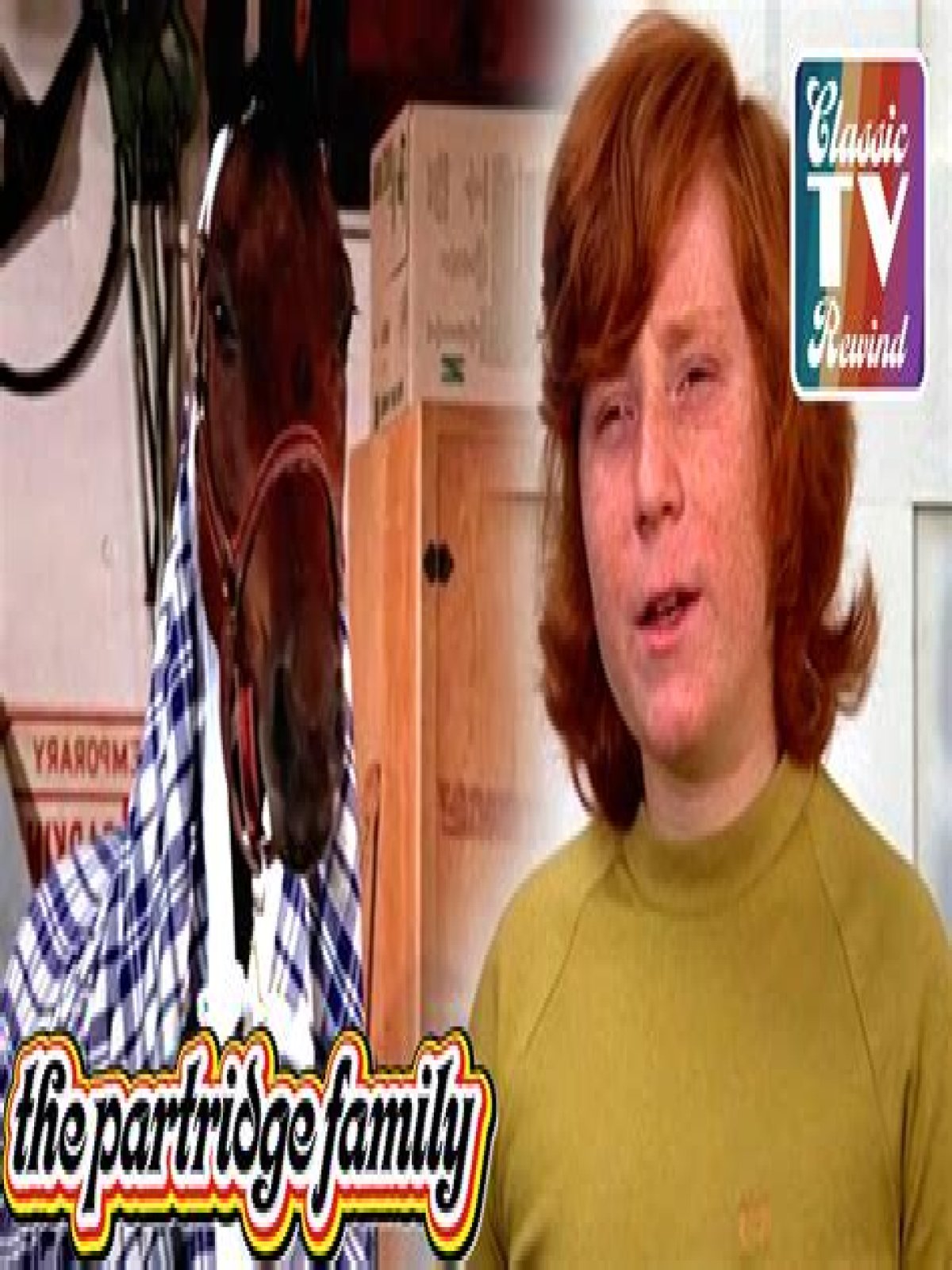 Unveiling The Partridge Family's Journey: Discoveries And Surprises